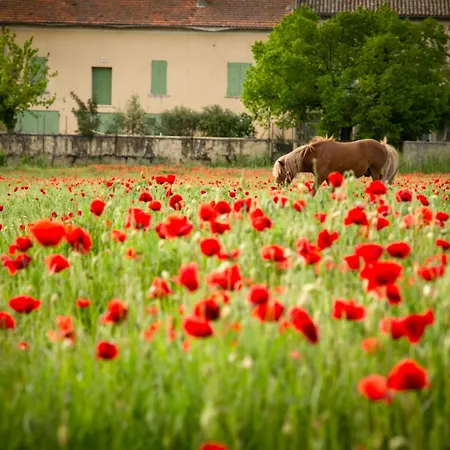Le Grand Liodrey * Céreste